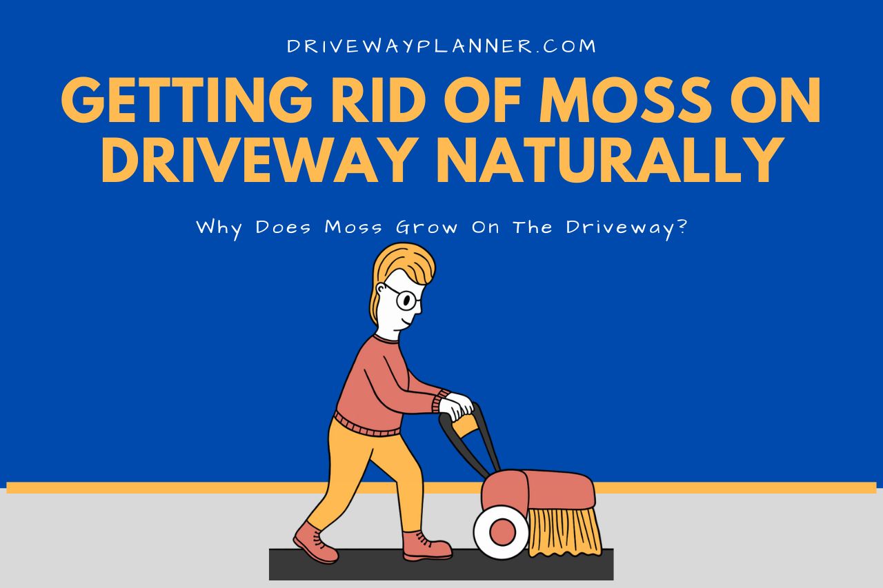 Why Does Moss Grow On The Driveway?